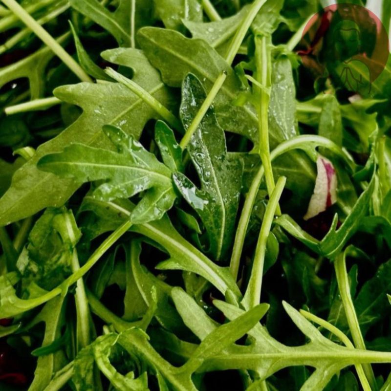 ��� ������� ������� ��� ���������?