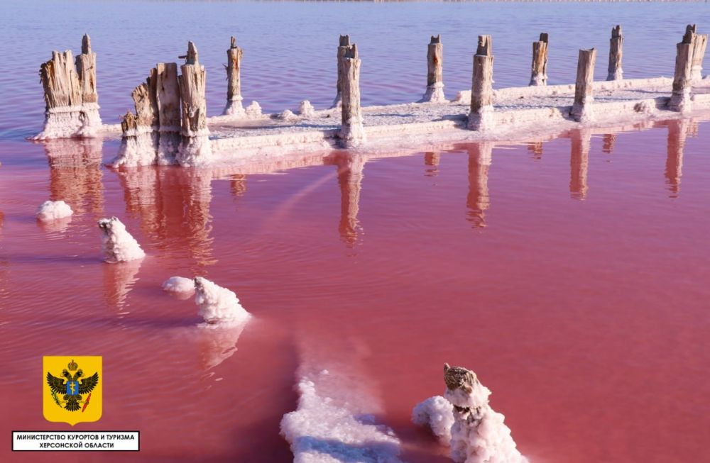 ����� ����������: ��������� ������� ���� ������������ ����� ������������ ������, ������� �������� � ���� ������� ����, ����������-����� ������� ��������� ���� � ������� ����