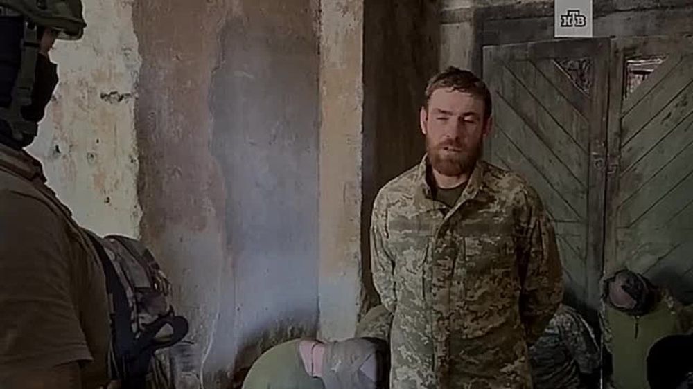 ������� ��� ����, ���� �� ������. ������������ ������