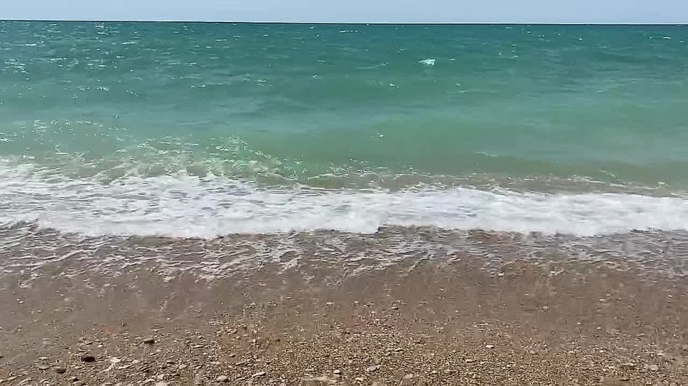 ������, ���� ������ �� �����! ��� �������� ��������?