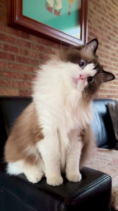 ��������� ����!. ��������-����� ���������� �������