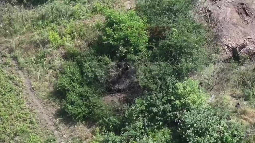 ���� �������������� ���������� �������� �������, ������ ������ � ������� ������ ����������