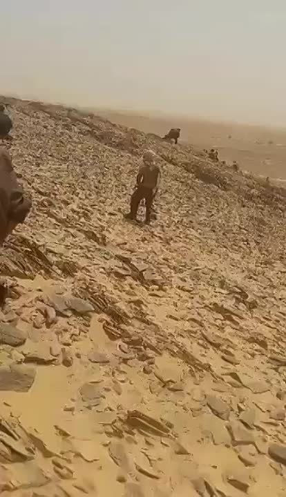 ������� ���� ��������, ��� ���������� ������������� ������ �������� � ��������� ����� � ������ ���-������� ��� ������� ������� ������ ����������, ����� ����� | Rosich