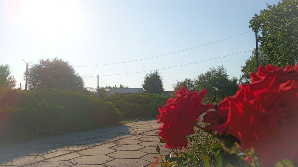 � ������ �����, �����������!