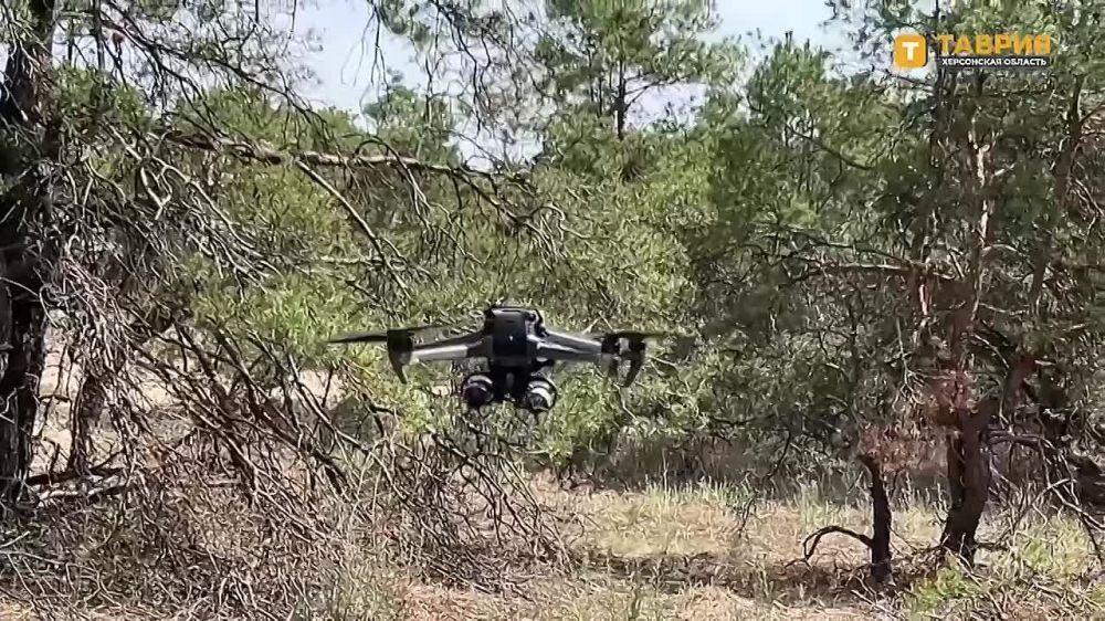 ������� ���� ���������� �������� �������������� ������ �� �������� � ������� ���� ���