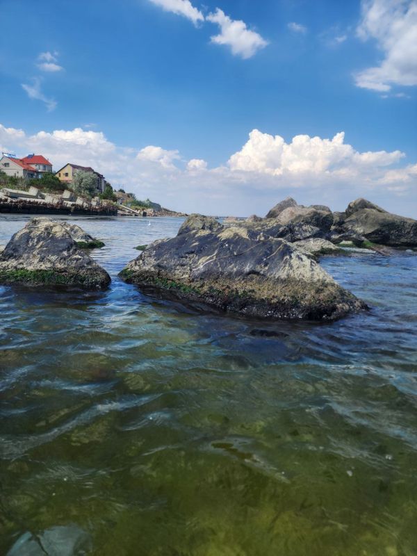 ��������..... ���� ������