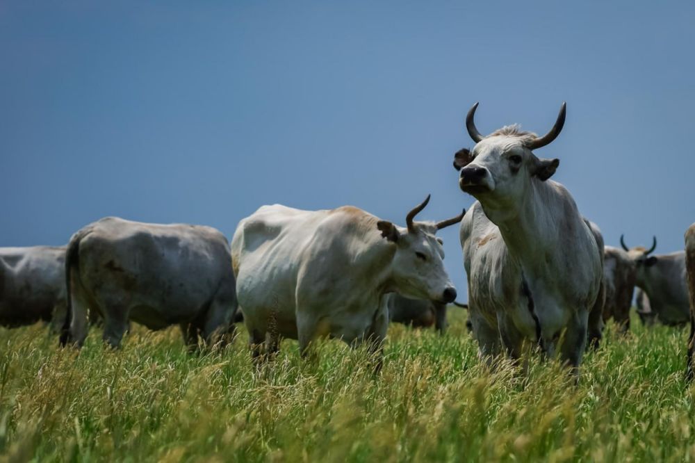 � ���������� ������� �������� ���������� ������ �������� �������� �����