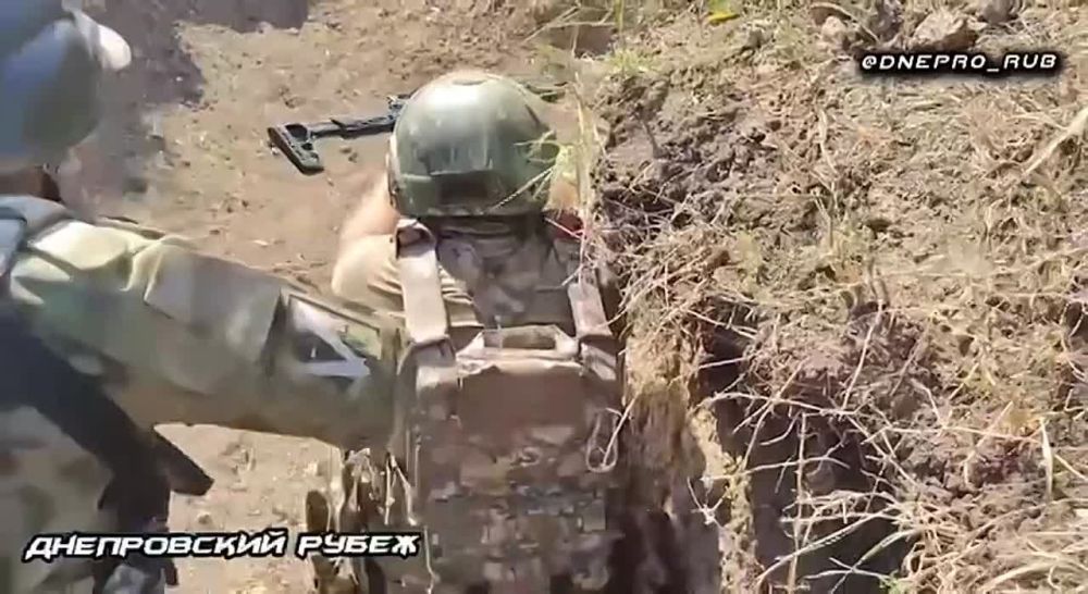 ���������� �����������. ����� ����������� ����� "�����" �������� ����������� ��������� ���������� � ������� �������. ��������� ���������� �������� ����������� �������� ������ � ����������� ������� � �������, �������������� � ���� � �����������