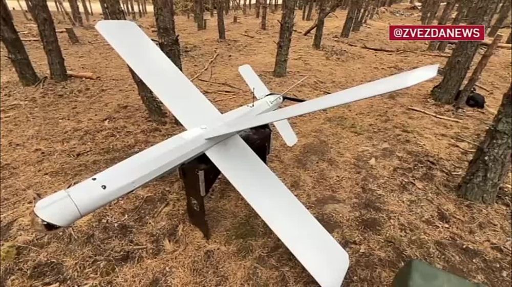 ����������� ������������� ����������� ������� ������� ��� � ����������� ������ ��� � ���������� �������