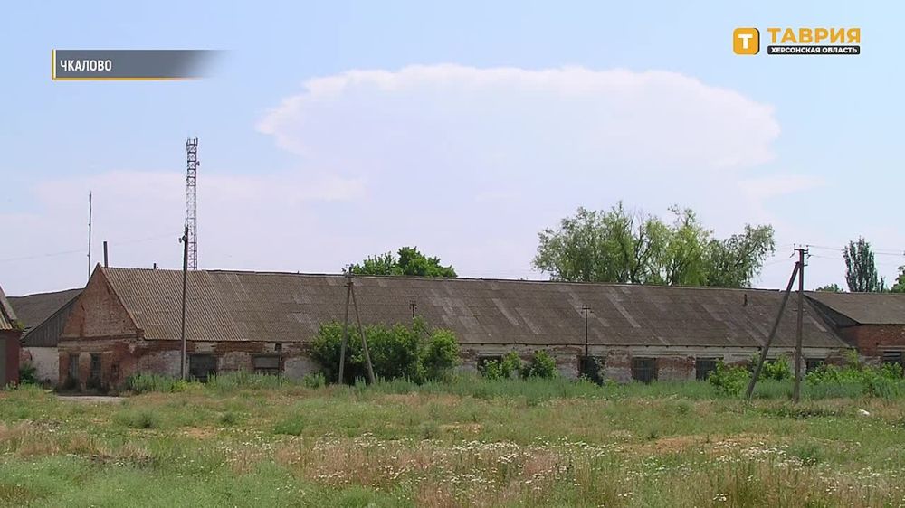 �� ������ ����������� � ������������ ������: ������ ������ �����-������ � ���� ������� ������������� ������