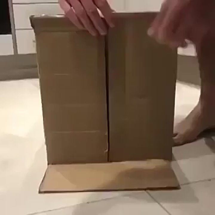 ��������� ����!. ��������-����� ���������� �������