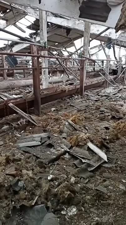 ���������� �����������. ������ �����