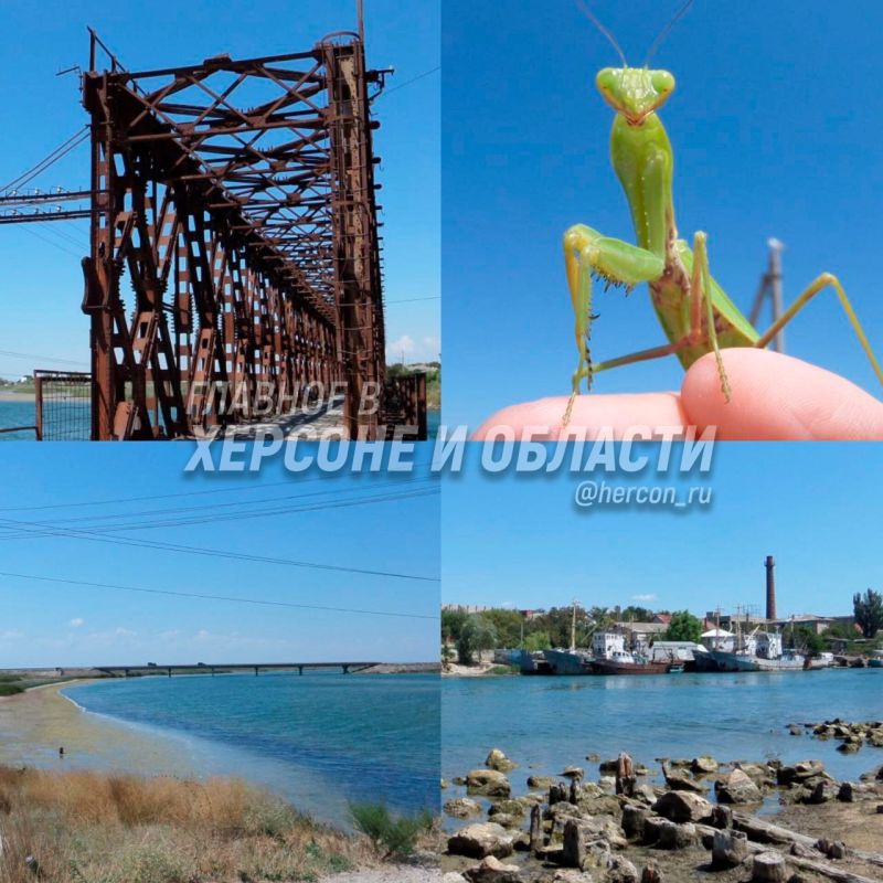 ��������� ���������, ����� � ������� � ��������� �������� � ������� � ������� ��������� � ���� ������� ������� ����