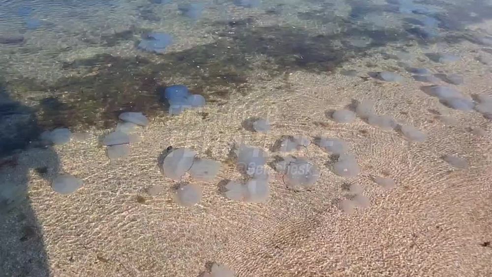 ��������� ��������� ���� ���������� ������