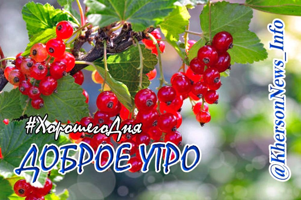 ������ ���� ������������, ������!