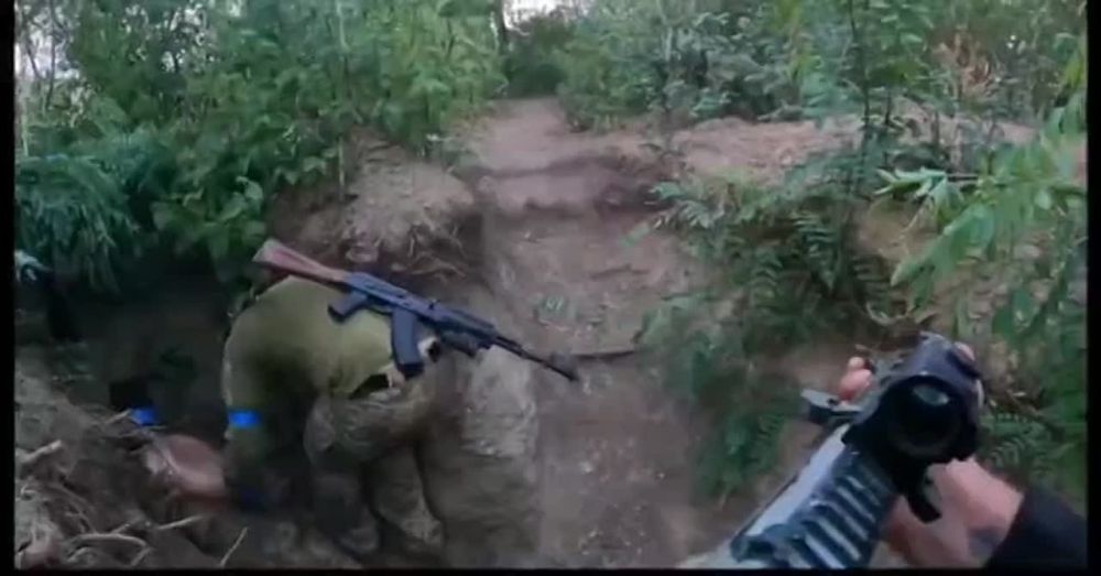 �����, ��� �� ������ ������ ������������ ��������, � ����� ���, ������� ����� ������� ������� ����� ���������� "�����������", ����� ������ ��������