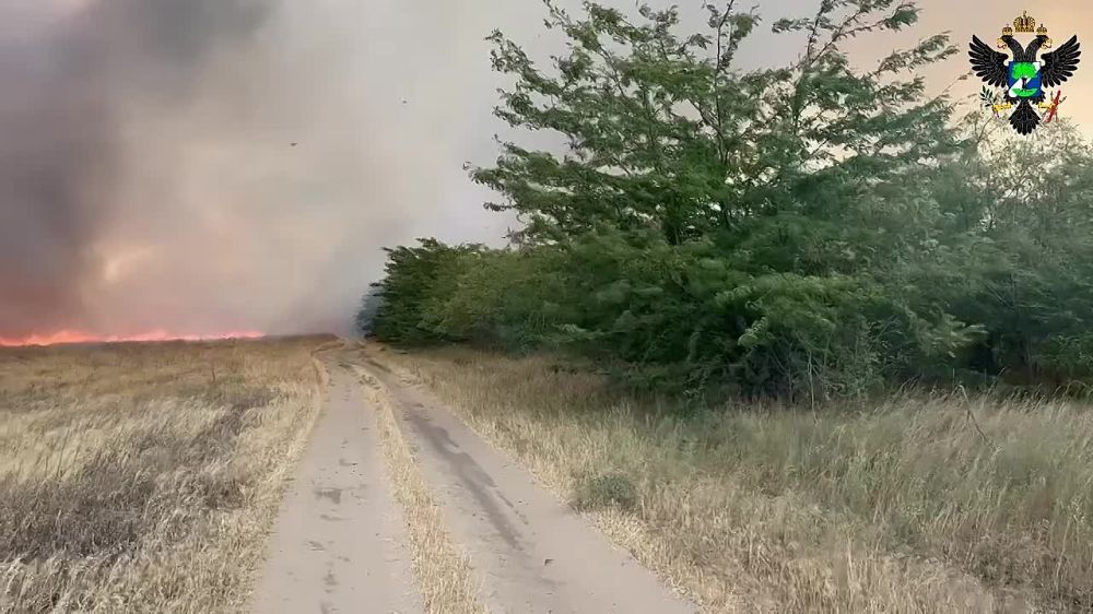 � ��� "��������������� ������������� ���������" ������������ ������ �� ���