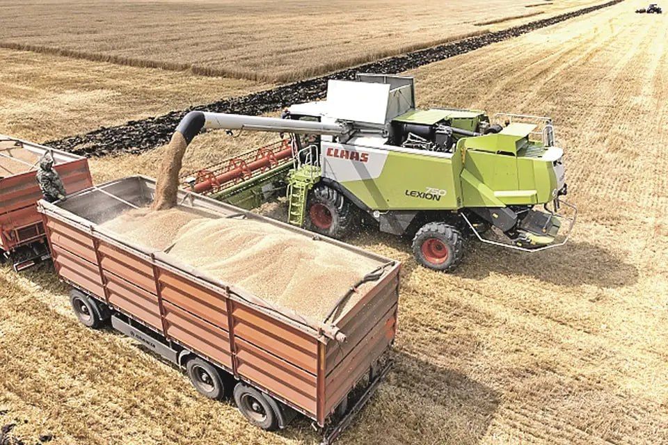 ������ �������� � ������������ � ���������� ������� �������� 1,3 ��� ����