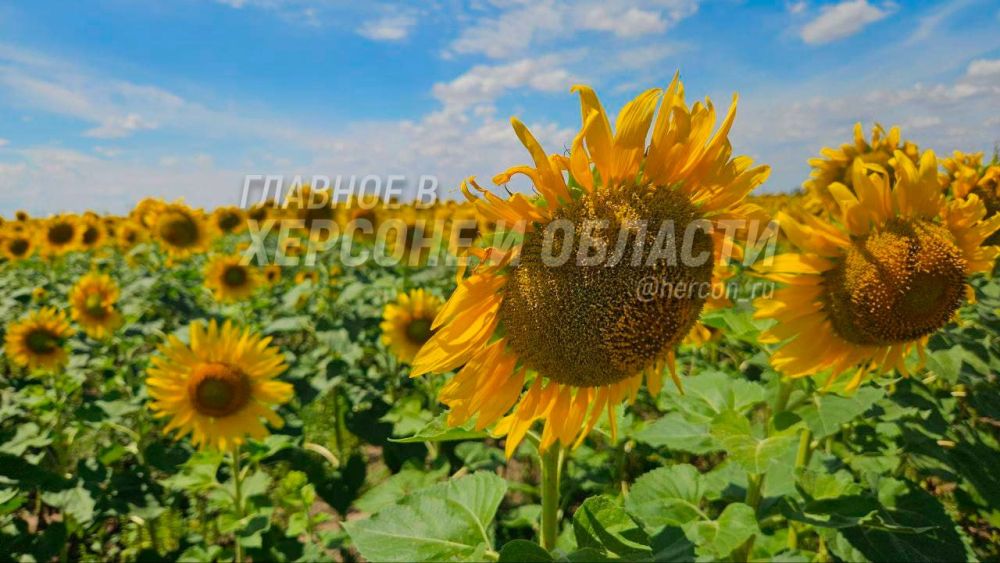 ��������� ������ ���� ������ ������������ � ��������� ��������� ������������ ����� ���������� �������