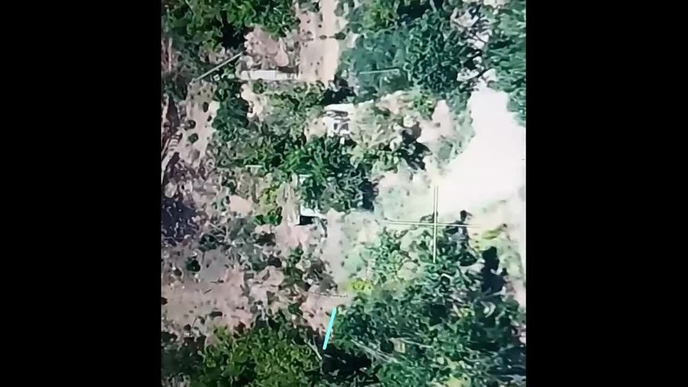 ���������� �����������, ����������� ��������� � ��������