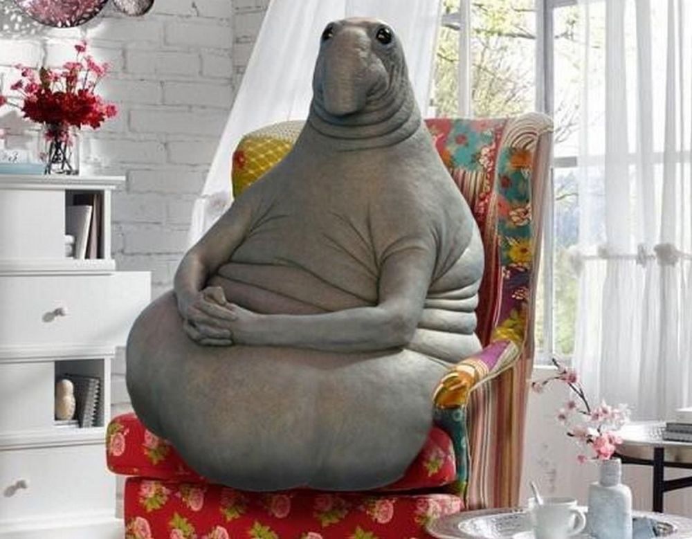 � ���� ������� �����, ��� ������� ������� � ������ � 10 ���