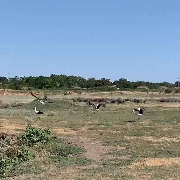 ����� ����������: ����� ������.. ������ ��� �������� �� ����� ������� � ���������!