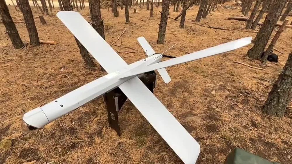 ����� ������������� ����������� ������� ����������� ������ �������� ���� � �������� �����, ����������� ��������� ��� ���