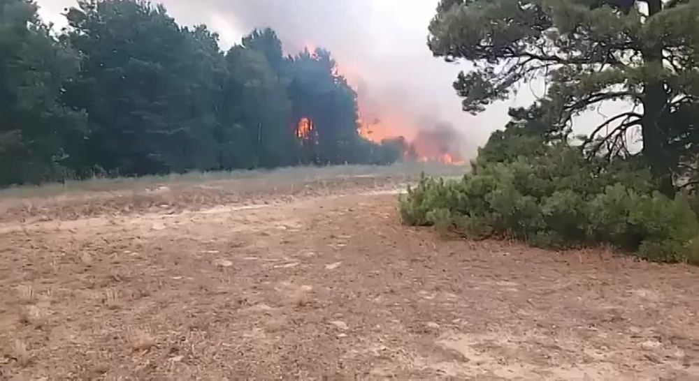 � ��� �� "��������������� ������������� ���������" ������������ ������ �� ���