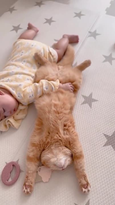 ������ ����. ������� ���� � ����� � ������� ����� ������, ���� ��������� ����������. ��� �������. ����������� �� +18 ����� �� +27 ���