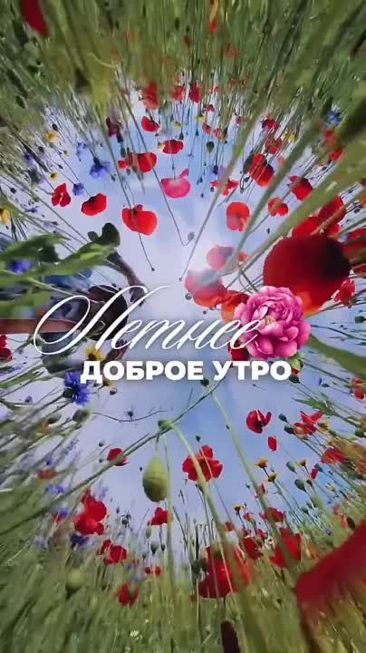 � ������ �����, �����������!