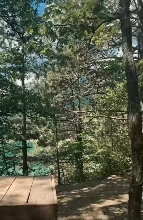 ��������� ����� ��������� � ���� ��������� �������� �� ������