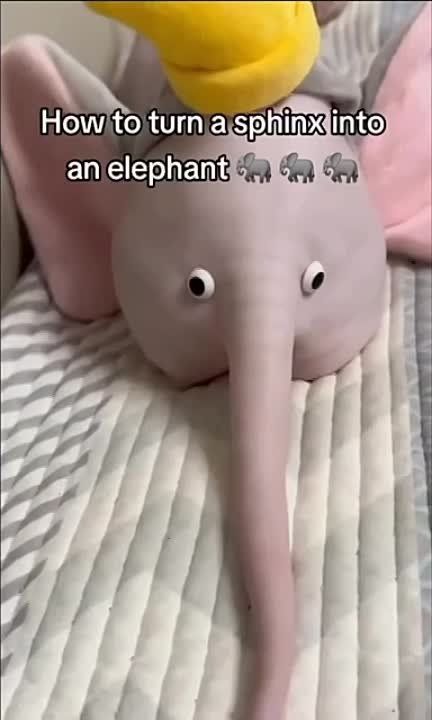 ������� �� �������