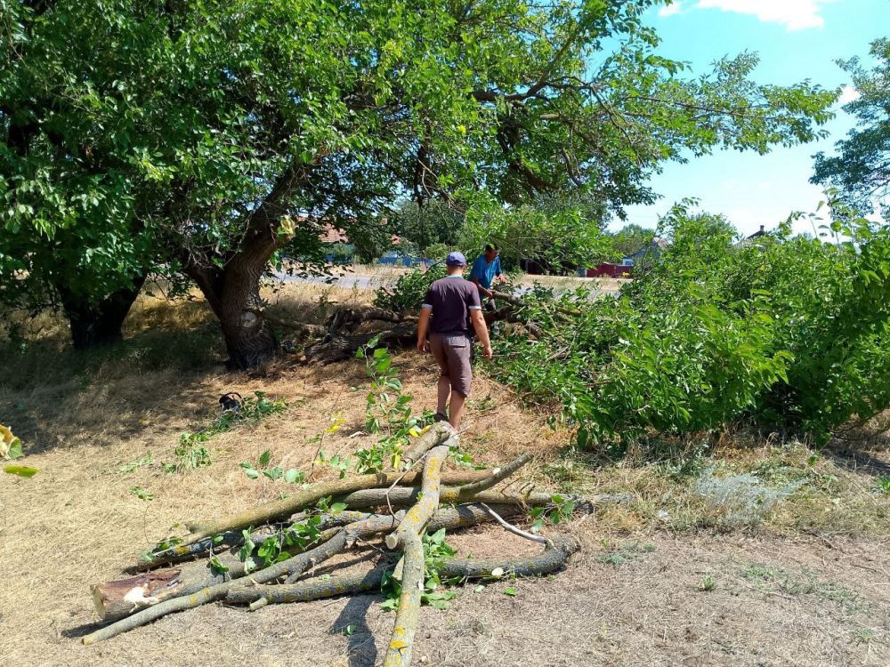 ���������������. � �������������� ������������� ������ ��������� ���������� ������ �� ��������������� ����������, ������������ �� �������� ����� ���������� ������� ��� ���������� �������� ���������