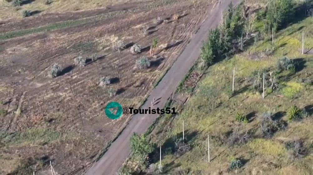 ���� ������ ���������� ���� �������� ��������, ������� ���� ���������� �������� ������ ����������� FPV-������