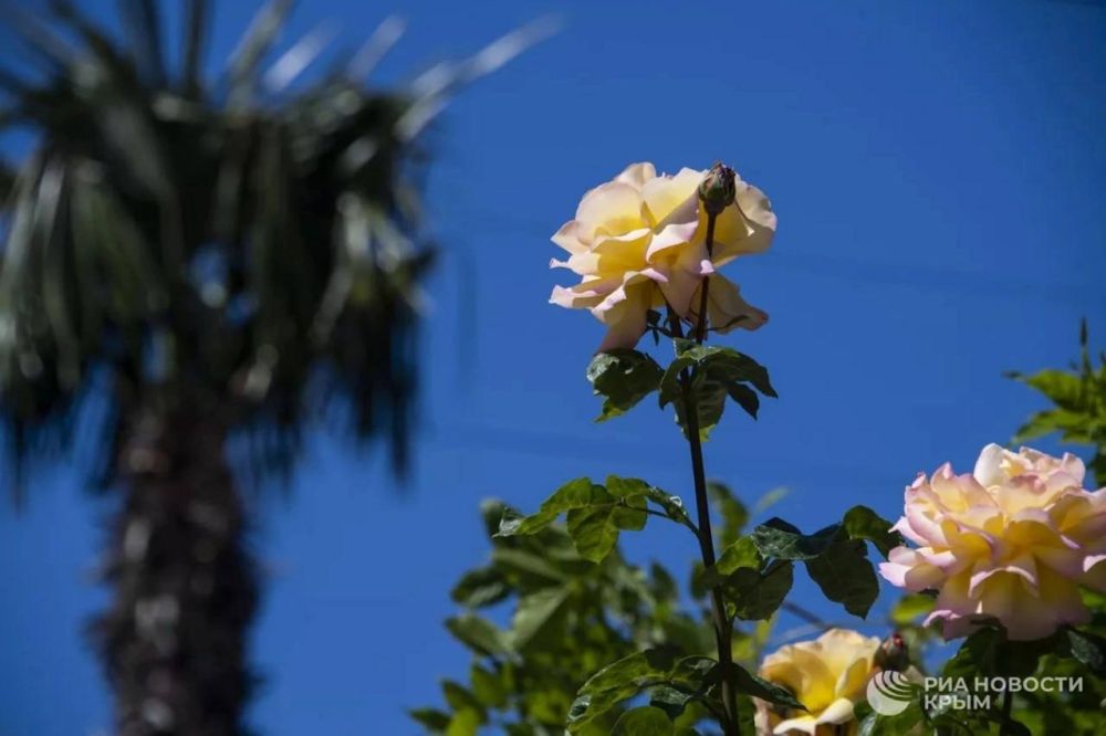 ������ �� ����� ����������� ������