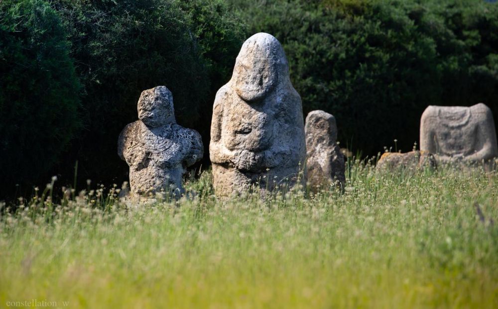 ������������ ����: �������� ����