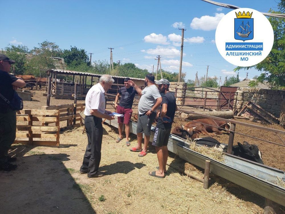 ���������� ������������� ������������ �������������� ������ ���������� ������� ������� ������� � ���������������������� � ��������������� ��������