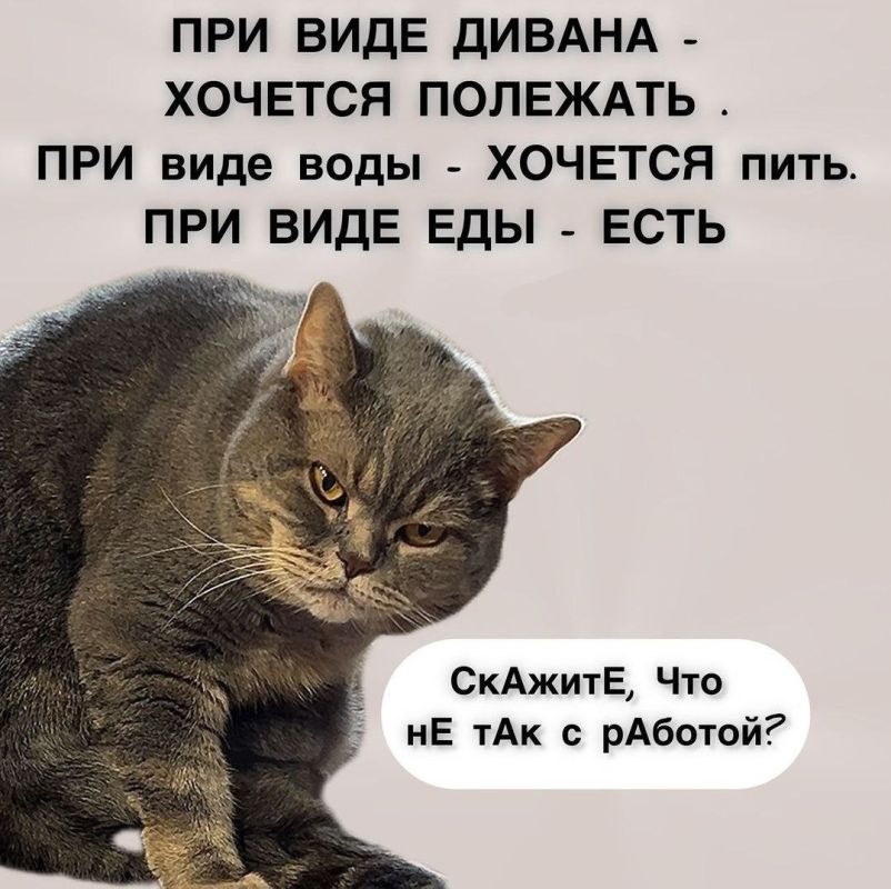 ������ ����). ����������� ���