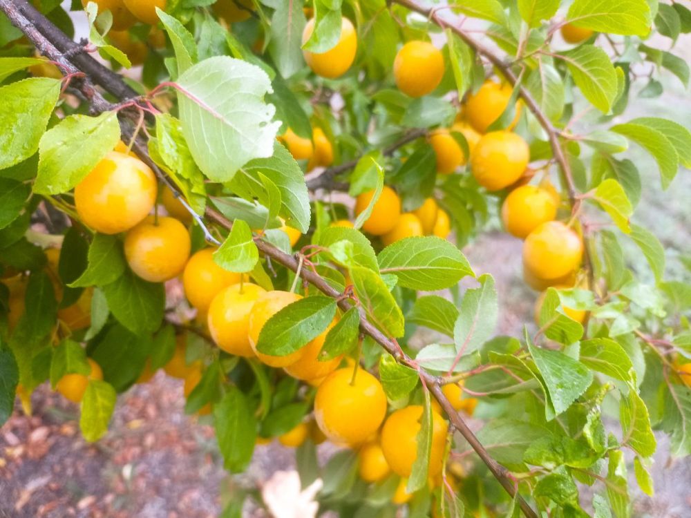 � ������ �����, �����������!