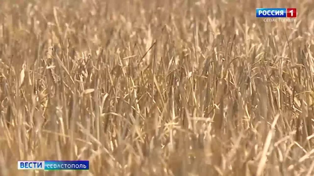 ����������� ����������� � ���������� �������� � �������������� � �������� ����������������� ���������