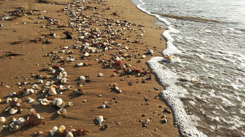 �� ������ ��������� � ���������� ������� ��������� �������