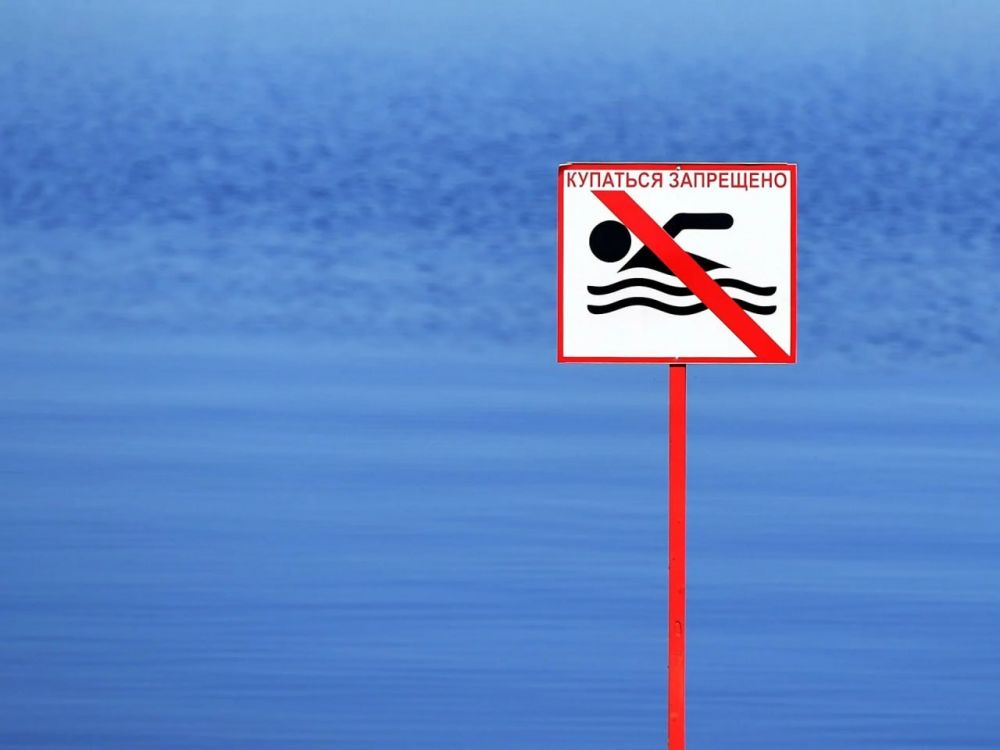 ����� ����������: ������� �� ������ ��������� � ���������� ������� �������� �����������