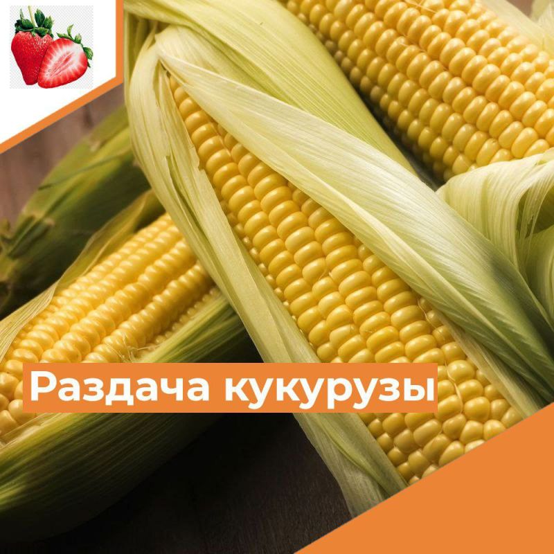 ��������� ������ �����������!