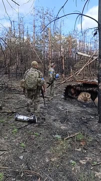 ������ ���������� �������������� ������� �� �������