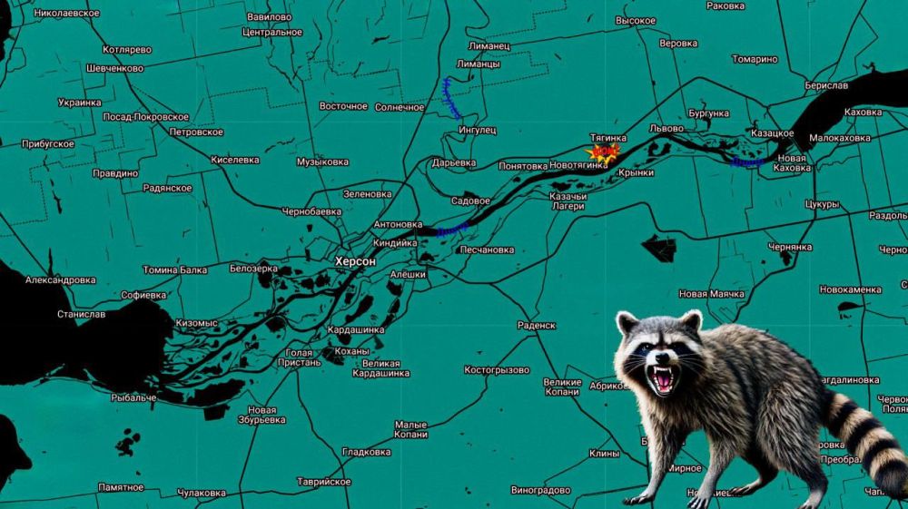 ���� �� �������: ������ ����! ����������� ����������!