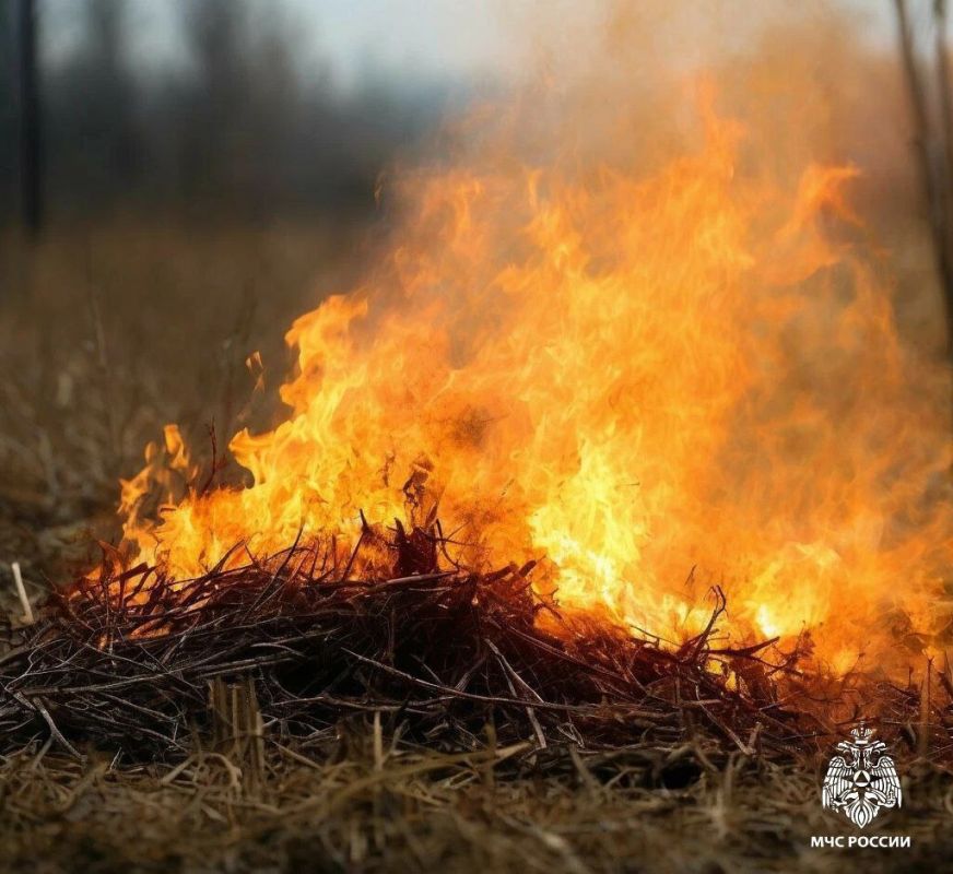 ���: ����������� ����������