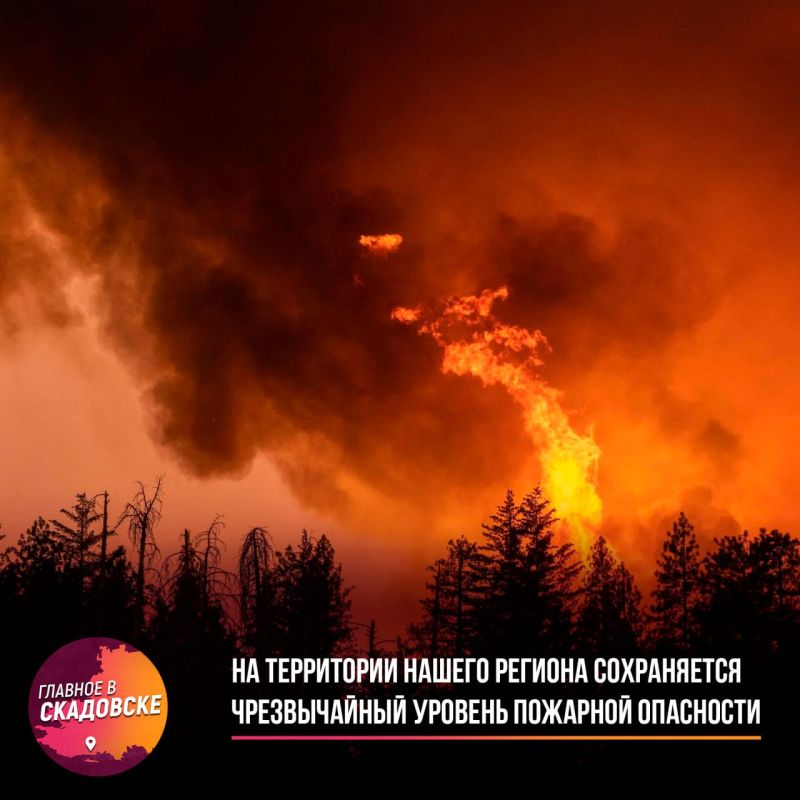 �� ���������� ������ ������� ����������� ������������ ������� �������� ���������