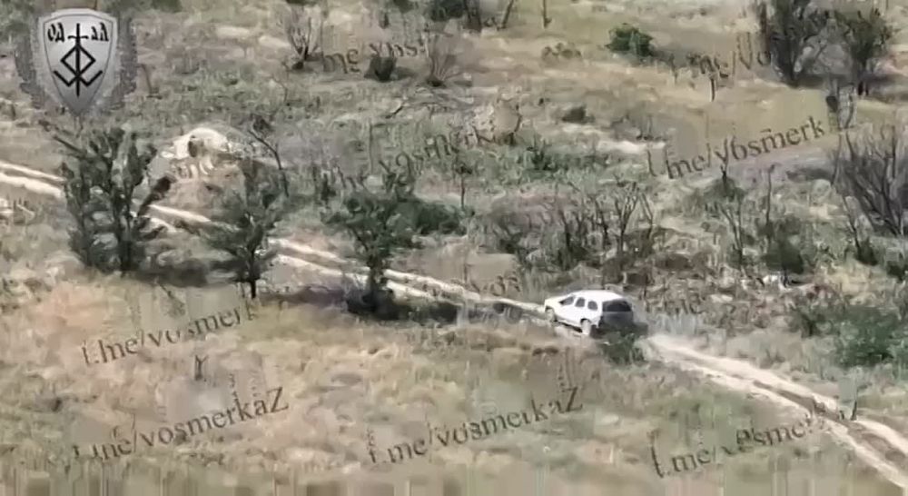 ����������� ����������� ������� ���� ����� ���