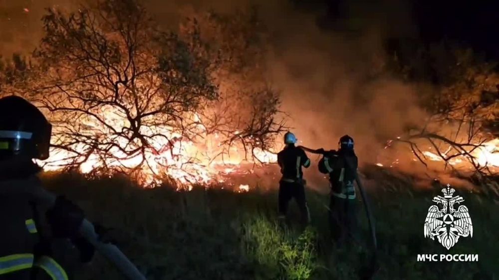 ����� ������� ����� ����������� ��� �� ������ ����� � ������ ������� �������