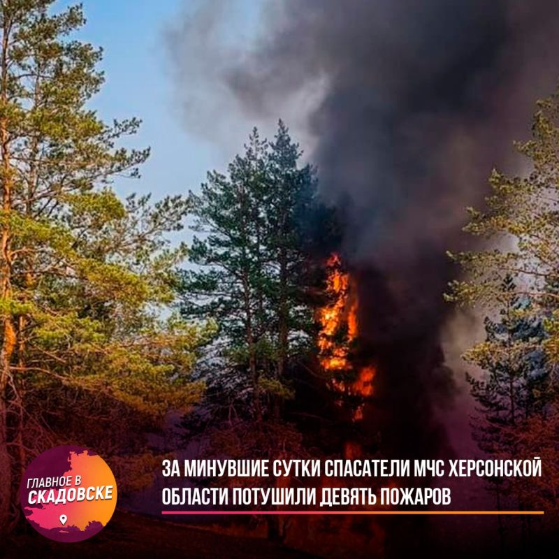 �� �������� ����� ��������� ��� ���������� ������� �������� ������ �������